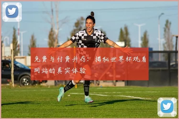 免费与付费并存:揭秘世界杯观看网站的真实体验