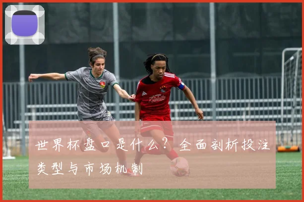 世界杯盘口是什么？全面剖析投注类型与市场机制