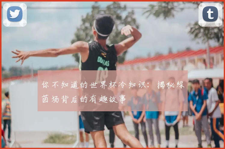 你不知道的世界杯冷知识：揭秘绿茵场背后的有趣故事