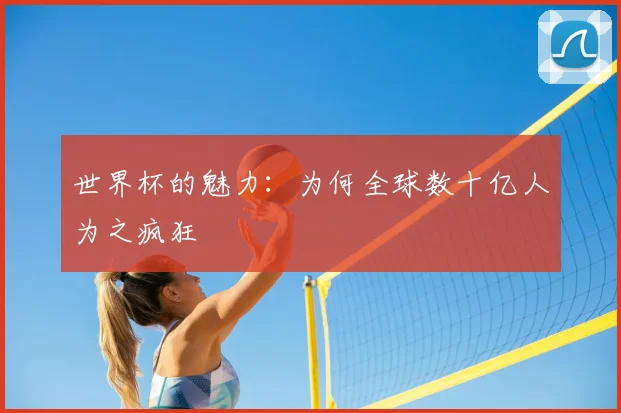世界杯的魅力：为何全球数十亿人为之疯狂