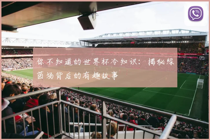 你不知道的世界杯冷知识：揭秘绿茵场背后的有趣故事