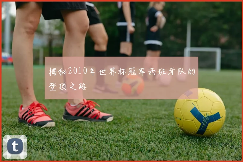 揭秘2010年世界杯冠军西班牙队的登顶之路