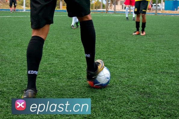 App Interface Preview